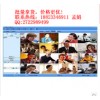 高清版視頻會議軟件正版授權/終身使用/送server端