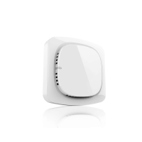 有害氣體探測器